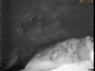 School Girl Porn Video Xxx