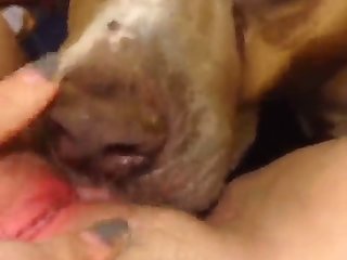 Indian Porn Web Series Xxx