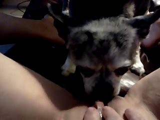 School Of Cock 3 [porn Pros 2025] Xxx