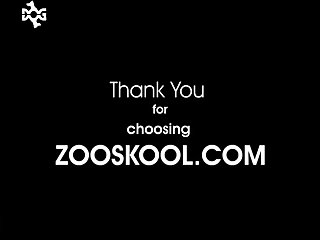 Zoo Porn Tube Free