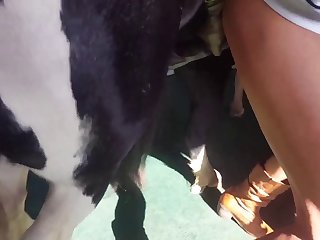 Xnxx Xxx Sex Xnxx
