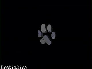 Sex Mex Xxx Xnxx