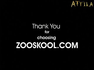 Animal Sex With Women