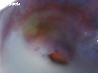 Taylor Spring Dog Porn