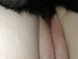 Animal Sex Fum.com
