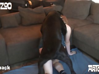 Animal Sex Vidio.com