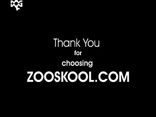 Zoo Tube 3
