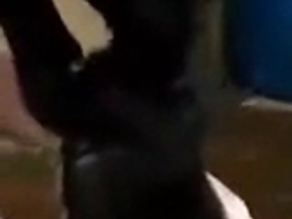 Animal Sex Dog With Dog