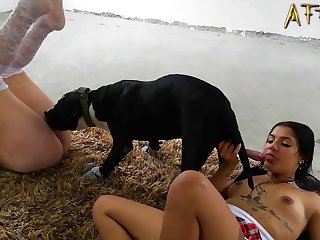 Vk Animal Sex