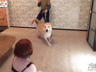 Zoo Porn Free Videos