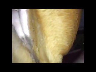 Talking Dog Porn