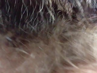 Art Of Zoo New Videos