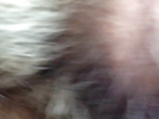 Art Of Zoo New Videos