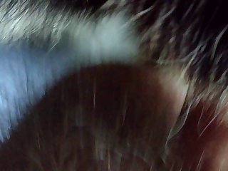 Art Of Zoo New Videos