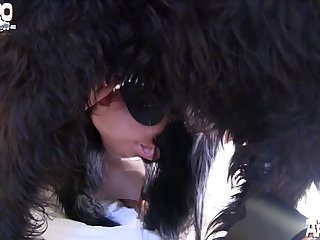 Dog Porn With Dog