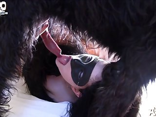 Dog Porn With Dog