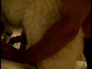 Girl With Female Dog Porn