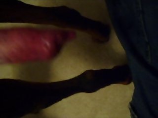 Dog Porn With Hot Girl