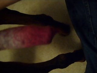 Dog Porn With Hot Girl