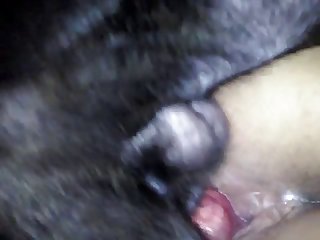 Animal Sex A Girl