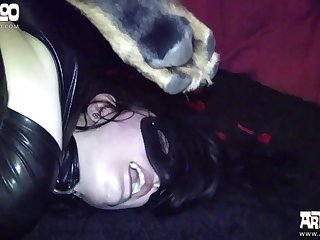 Fake Dog Xxx