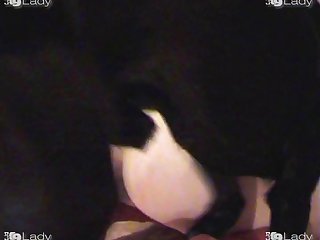 French Kissing With Dog Xxx