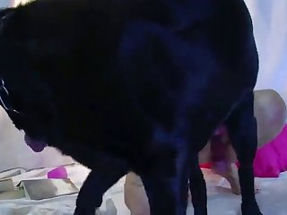 Teen Girl Fuck Dog Xxx