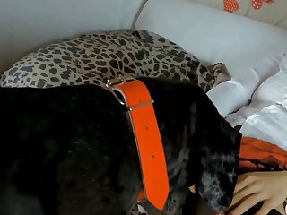 Guy Fuck His Dog Xxx