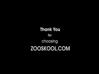 Pamela Art Of Zoo