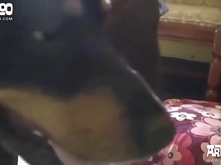 Ridding Dog Xxx