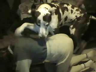 Beautiful Girls Dog Xxx