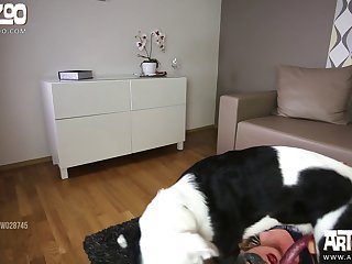 Big Black Dog Xxx