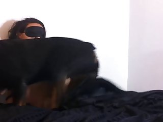 Woman Gets Fucked By A Dog Xxx