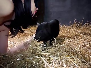Mature Fucks Dog Xxx