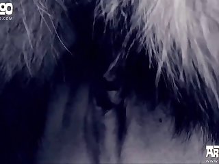 Cumming On My Dog Xxx