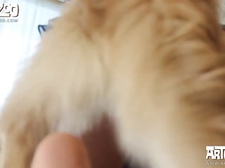 Zoophilie Xxx Free
