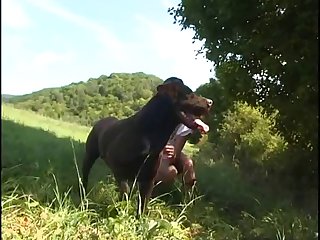 Dog Fuck Art Of Zoo