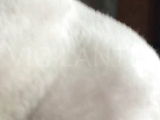Girls Sex With Dog Xxx
