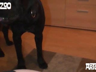 Petite Dog Xxx