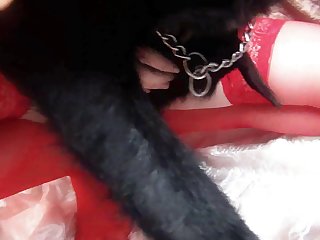 Good Girl Dog Xxx