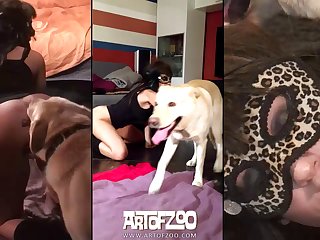 Penis In Dog Xxx
