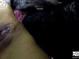 Couple Fucks Dog Xxx