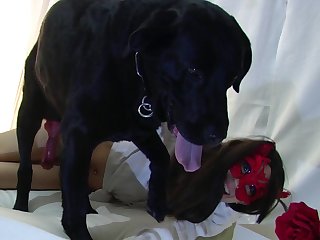 Docking Male Dog Xxx