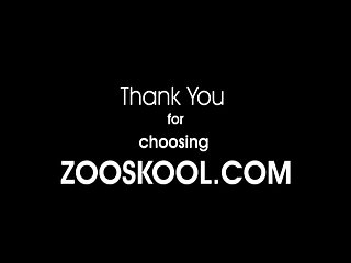 Art Of Zoo Tubes