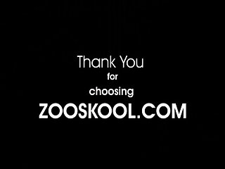 Art Of Zoo Tubes