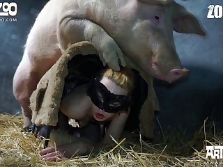 Zoophilie Sex Geschichte