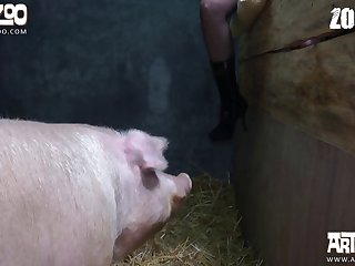 Zoophilie Sex Geschichte