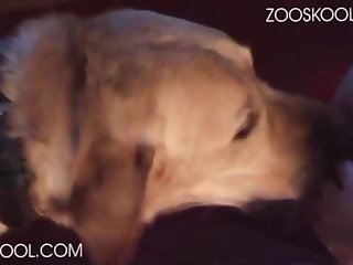 Art Of Zoo Blonde Xxx