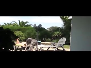 Colombian Dog Xxx