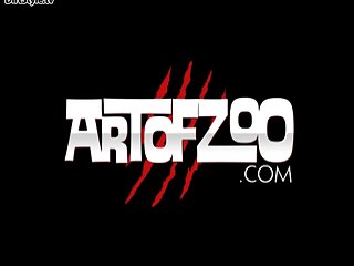 Art Of Zoo